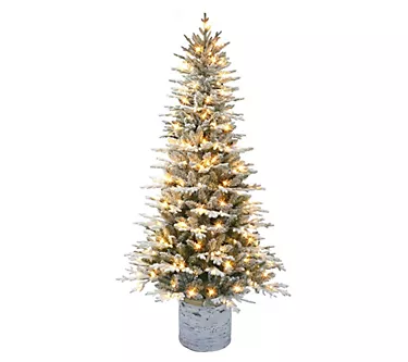 372452-puleo-6-prelit-potted-flocked-arctic-fir-tree-1.webp