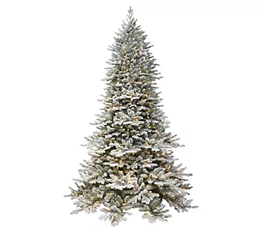 Puleo 6.5' Prelit Flocked Royal Majestic Douglas Fir