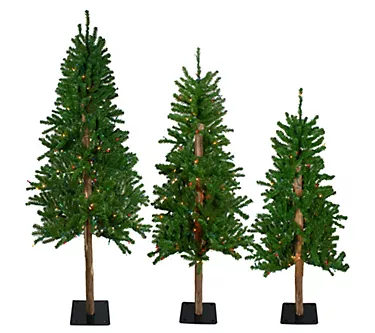 Norhtlight Set of 3 Pre-Lit Slim Alpine Christmas Trees