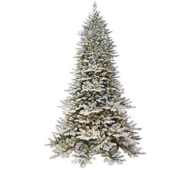 7.5' Royal Majestic Douglas Flocked 800 Clear Lights