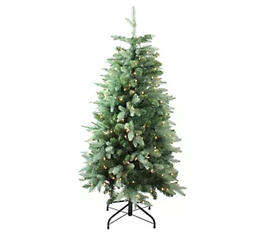 373048-northlight-fresh-cut-carolina-frasier-fir-christmas-tree-1.webp