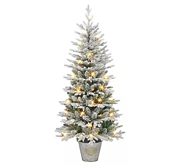 Puleo 6' Prelit PE/PVC Flocked Tree 1 373070-puleo-6-prelit-pe-pvc-flocked-tree-1.webp