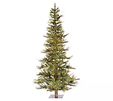 6' x 41" Ashland Tree by Vickerman