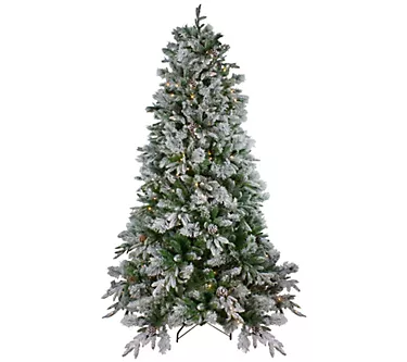 Northlight 7.5' Mixed Colorado Pine Tree Warm Clear Lights 1 373502-northlight-7-5-mixed-colorado-pine-tree-warm-clear-lights-1.webp
