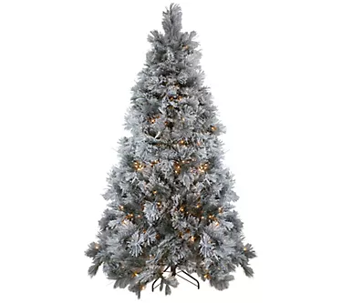 Northlight 7.5' LED Black Spruce Artificial Tree Clear Lights