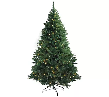 Northlight Prelit Buffalo Fir Medium ChristmasTree