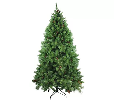 Northlight 6.5' Dakota Pine Full Christmas Treew/Pine Cones