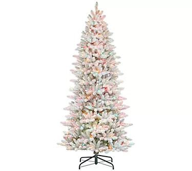 373759-puleo-international-7-5-prelit-slim-flocked-franklin-fir-tre-1.webp