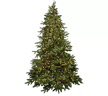Northlight 7.5' Prelit Birch River Fir Tree  Candlelight