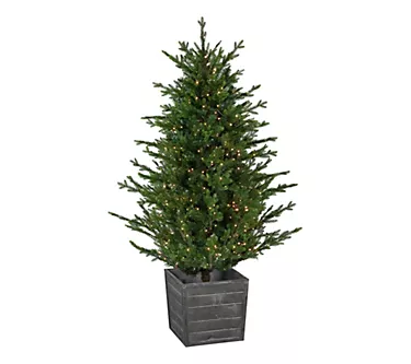 Norhtlight 6' Pre-Lit Potted Deluxe Russian Pine Tree 1 374009-norhtlight-6-pre-lit-potted-deluxe-russian-pine-tree-1.webp