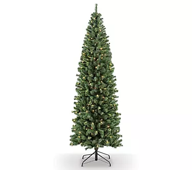 374271-puleo-pre-lit-6-5-pencil-northern-fir-christma-s-tree-1.webp