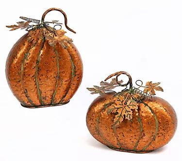 Set of 2 Metal Harvest Tabletop Pumpkins by Gerson Co. 1 374531-set-of-2-metal-harvest-tabletop-pumpkins-by-gerson-co–1.webp