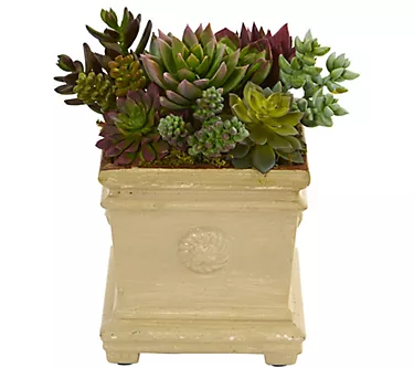 Mixed Succulent Plant in Decorative Vase by Nearly Natural