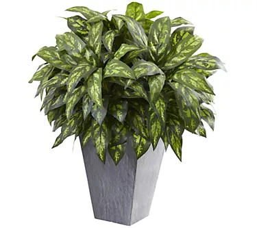 375368-37-silver-king-w-slate-planter-by-nearly-natural-1.webp