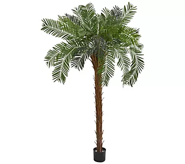 7' Cycas Palm Artificial Tree by Nearly Natural