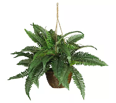 Boston Fern Silk Hanging Basket by Nearly Natural
