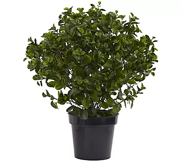 28" Peperomia Plant by Nearly Natural