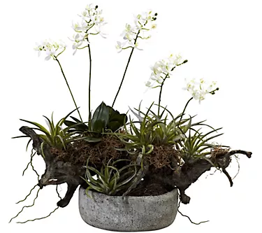 Orchid & Succulent Garden with Vase by Nearly Natural