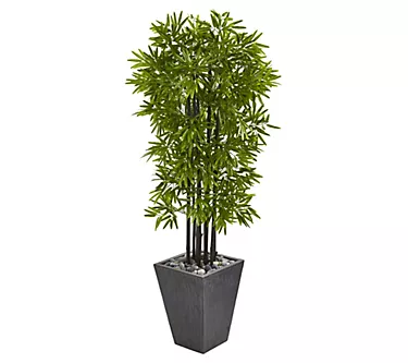 Nearly Natural 61in. Bamboo in Slate Planter UV Resistant 1 375557-nearly-natural-61in-bamboo-in-slate-planter-uv-resistant-1.webp