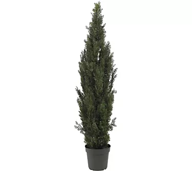 375653-6-mini-cedar-pine-tree-by-nearly-natural-1.webp