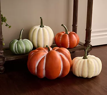 Simply Stunning Set of 5 Fairytale Pumpkins by Janine Graff