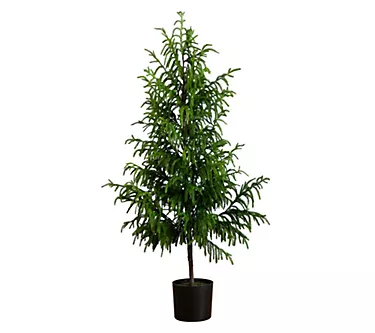 375789-nearly-natural-5-artificial-norfolk-pine-tree-1.webp