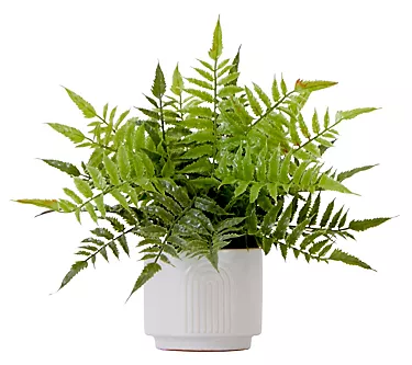 376037-nearly-natural-13-artificial-boston-fern-plantwith-planter-1.webp