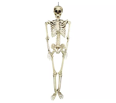 Northlight Life Size Skeleton Hanging HalloweenDecor 5'