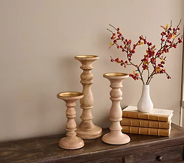 Simply Stunning Set of 3 Wood Candle Pillars by Janine Graff 1 376216-simply-stunning-set-of-3-wood-candle-pillars-by-janine-graff-1.webp