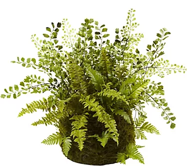 Mixed Fern with Twig and Moss Basket by Nearlyatural