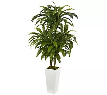 Marginatum Plant in White Tower Planter by Nearly Natural