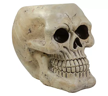 Northlight Halloween Skull Decoration 11" 1 376759-northlight-halloween-skull-decoration-11–1.webp