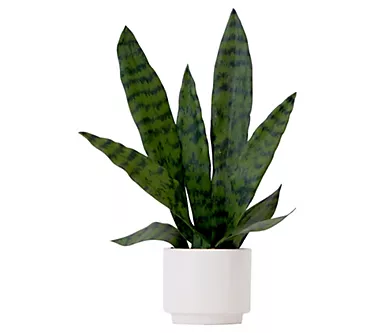 376860-nearly-natural-16-artificial-sansevieria-snakeplant-w-planter-1.webp