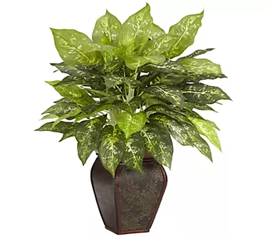 Dieffenbachia with Vase by Nearly Natural