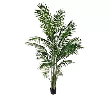 7' Potted Areca Palm by Valerie