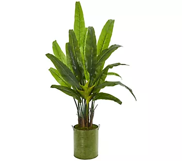 5' Travelers Palm Tree in Planter by Nearly Natural