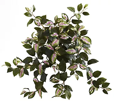 Hoya Hanging Bush Set of 4 by Nearly Natural