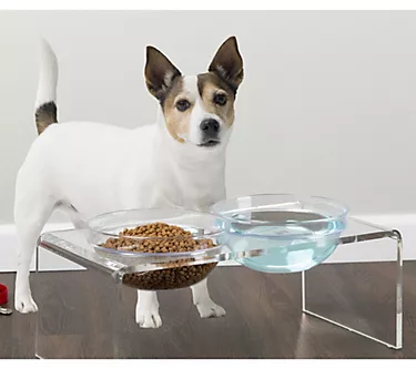 Petmaker Elevated Pet Bowl Stand with RemovableBowls