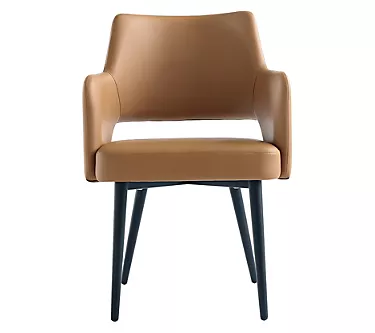 Manhattan Comfort Tremont Dining Arm Chair 1 380822-manhattan-comfort-tremont-dining-arm-chair-1.webp