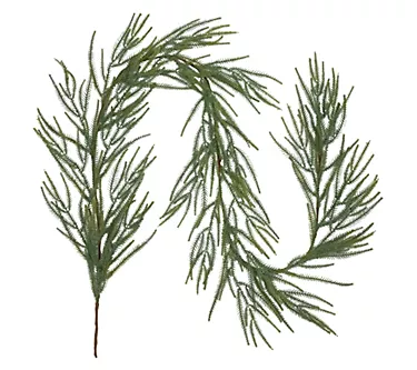 Northlight Norfolk Pine Christmas Garland 7' Unlit