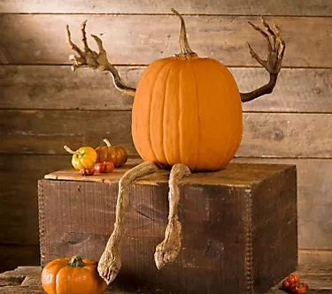 381610-evergreen-posable-pumpkin-vine-arms-and-legs-set-1.webp