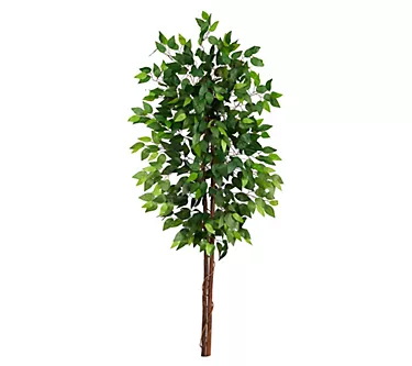 Nearly Natural 5ft Artificial Double Trunk Ficus Tree (No Pot) 1 382107-nearly-natural-5ft-artificial-double-trunk-ficus-tree-no-pot–1.webp