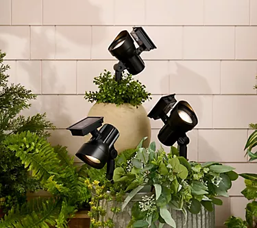 382297-energizer-set-of-3-solar-spotlights-1.webp