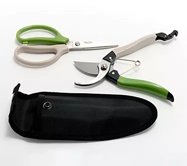 Martha Stewart Set of 2 Pruner & Garden Scissor Snip Set