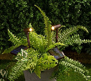 Energizer Set of 2 65-Lumen Solar Spotlights with Remote Panel 1 382356-energizer-set-of-2-65-lumen-solar-spotlights-with-remote-panel-1.jpg