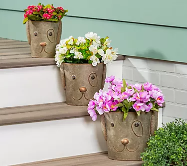 Plow & Hearth Set of 3 Metal Dog Bucket Planters