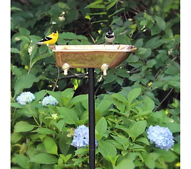Splish-Splash Bird Bath Copper Finish by Good Directions