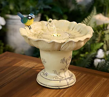 Barbara King Illuminated Flower Shaped Low Birdbath Bubbler