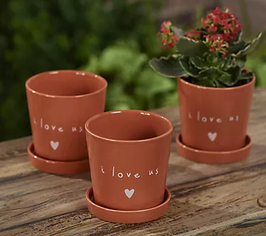 Peace Love World S/3 Ceramic 4.5" Planters with Trays