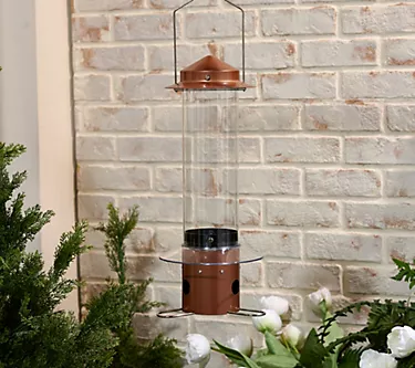 Jennings Squirrel-Proof Bird Seed Feeder